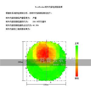 樹木無損檢測(cè)探傷儀