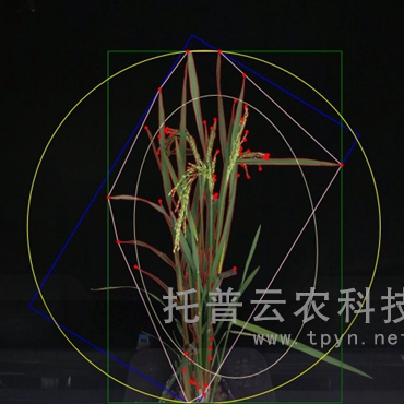 盆栽植物二維數(shù)字表型采集分析系統(tǒng)
