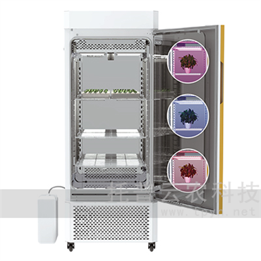 ֲ澳ģMcLO(jin)yϵy(tng)