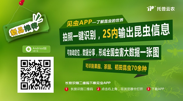 拿害蟲(chóng)沒(méi)轍怕農(nóng)殘過(guò)量？托普云農(nóng)這款A(yù)PP讓你的手機(jī)變滅蟲(chóng)好幫手