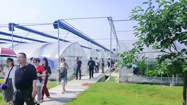 托普云農(nóng)助力青海省農(nóng)機(jī)信息化，海西州農(nóng)機(jī)中心來(lái)杭培訓(xùn)