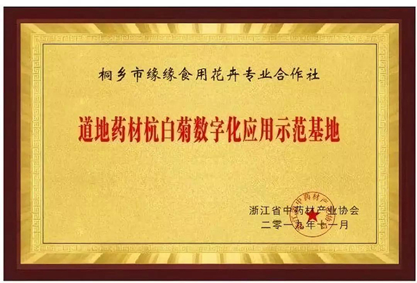 道地藥材數(shù)字化應(yīng)用發(fā)布，杭白菊產(chǎn)業(yè)迎來數(shù)字化變革