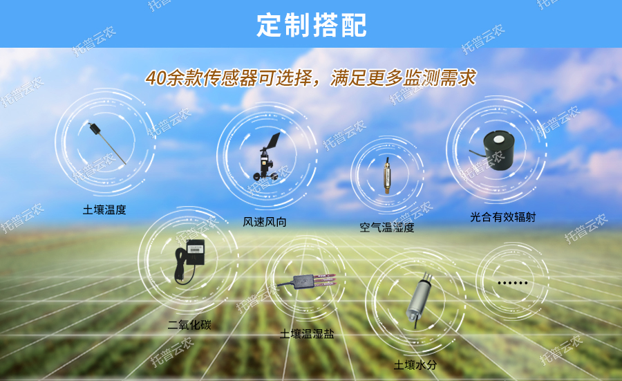 溫濕度露點(diǎn)記錄儀可定制搭配傳感器
