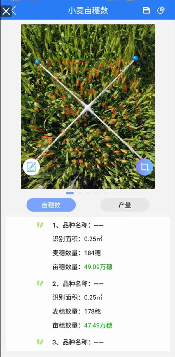小麥畝穗數(shù)測量系統(tǒng)手機界面圖1