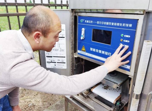 智能蟲情測報(bào)燈