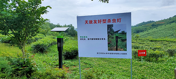 托普風吸式殺蟲燈應用于貴州茶園基地