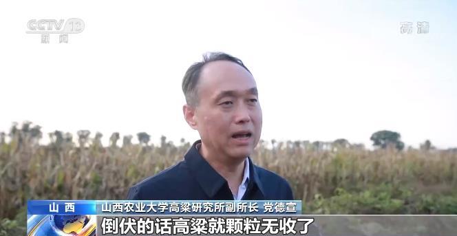 山西農(nóng)業(yè)大學(xué)高粱研究所副所長 黨德宣