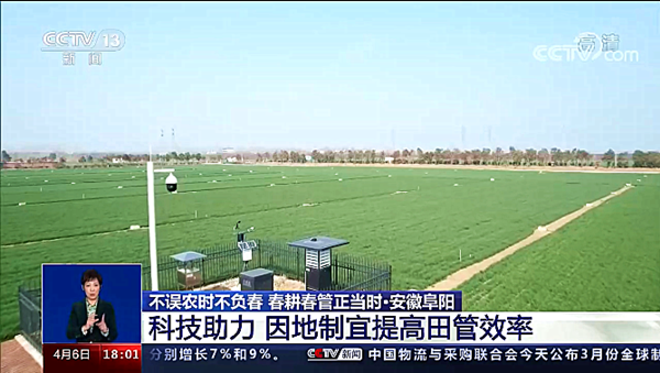 CCTV13新聞?lì)l道《共同關(guān)注》·安徽阜陽