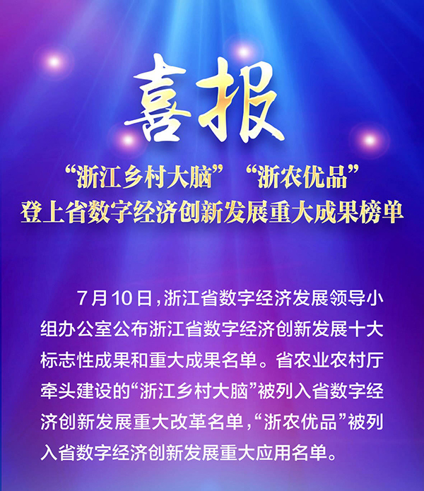 喜報！“浙江鄉(xiāng)村大腦”登上省數(shù)字經(jīng)濟創(chuàng)新發(fā)展重大成果榜單