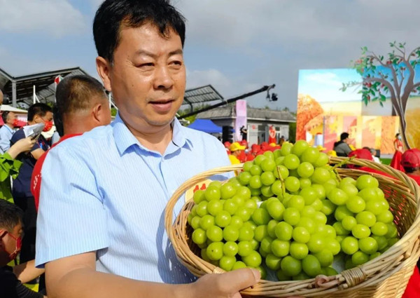 托普云農(nóng)：以創(chuàng)新致匠心，用科技改變傳統(tǒng)農(nóng)業(yè)