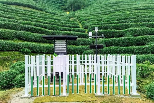 圖：托普云農(nóng)打造的茶園病蟲(chóng)害監(jiān)測(cè)點(diǎn)